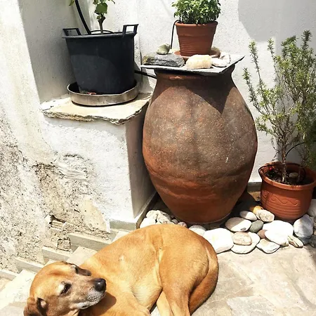 Pk Residency In Falatados Mési